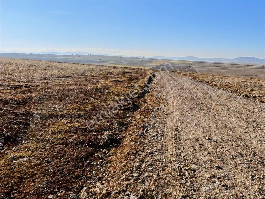 Başkan Emlaktan Satılık Seyitgazi İkiçeşme'de 13.610 M2 Tarla - Görsel 5