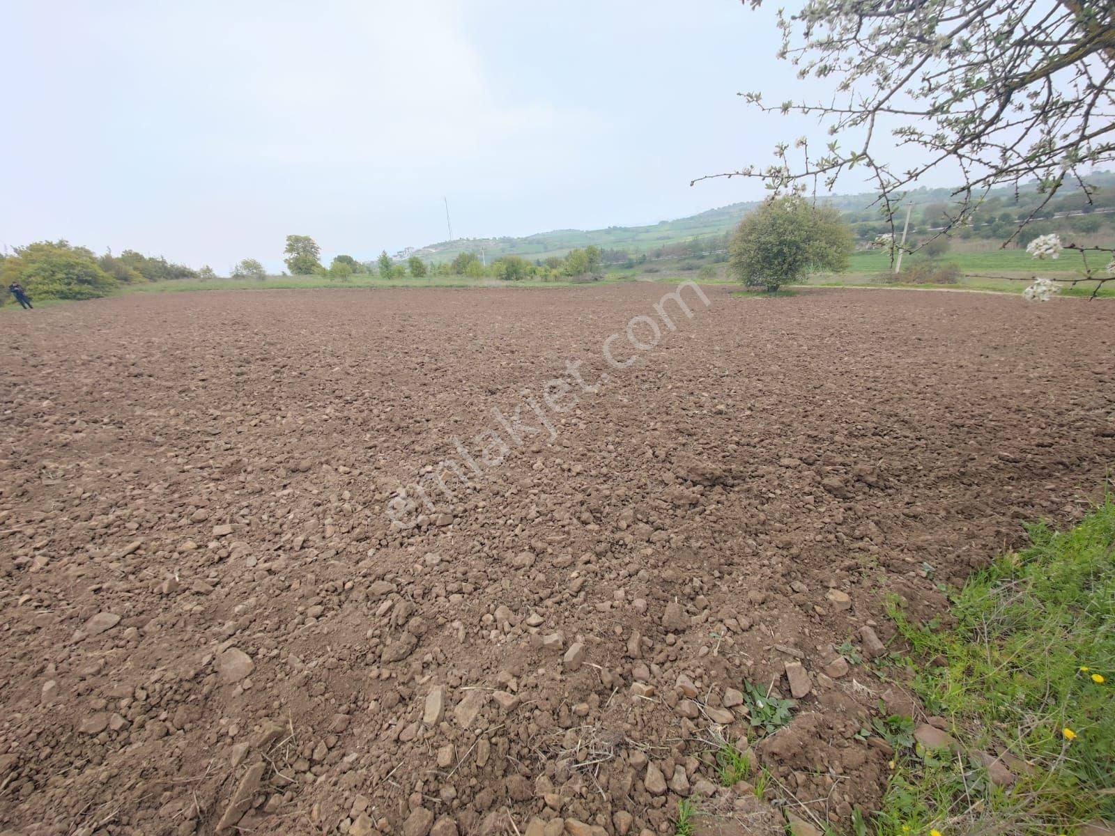 Mir'den Balıkesir Taşköy Mah'de Satılık Tarla