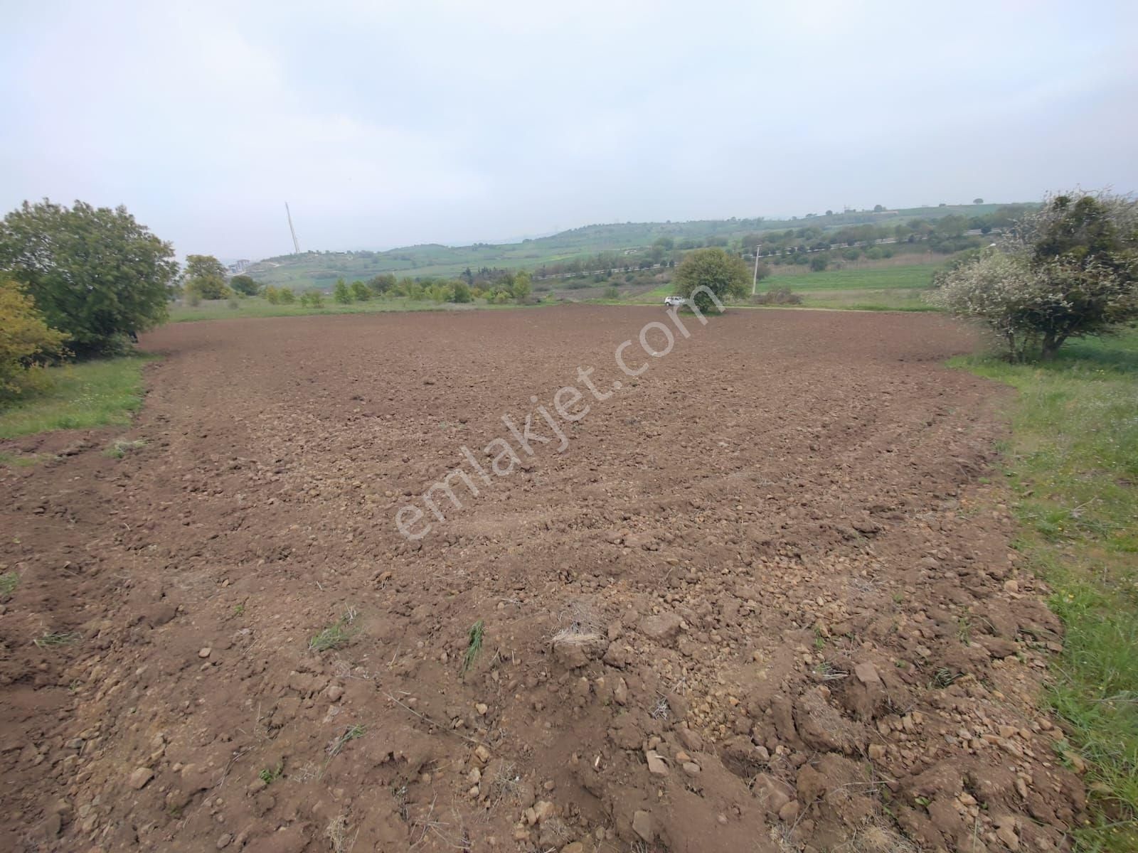 Mir'den Balıkesir Taşköy Mah'de Satılık Tarla - Görsel 28