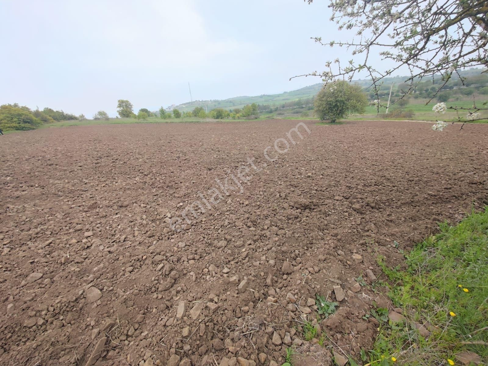 Mir'den Balıkesir Taşköy Mah'de Satılık Tarla - Görsel 5