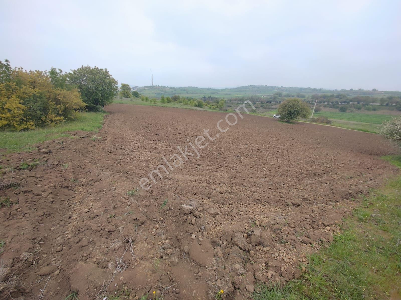 Mir'den Balıkesir Taşköy Mah'de Satılık Tarla - Görsel 3