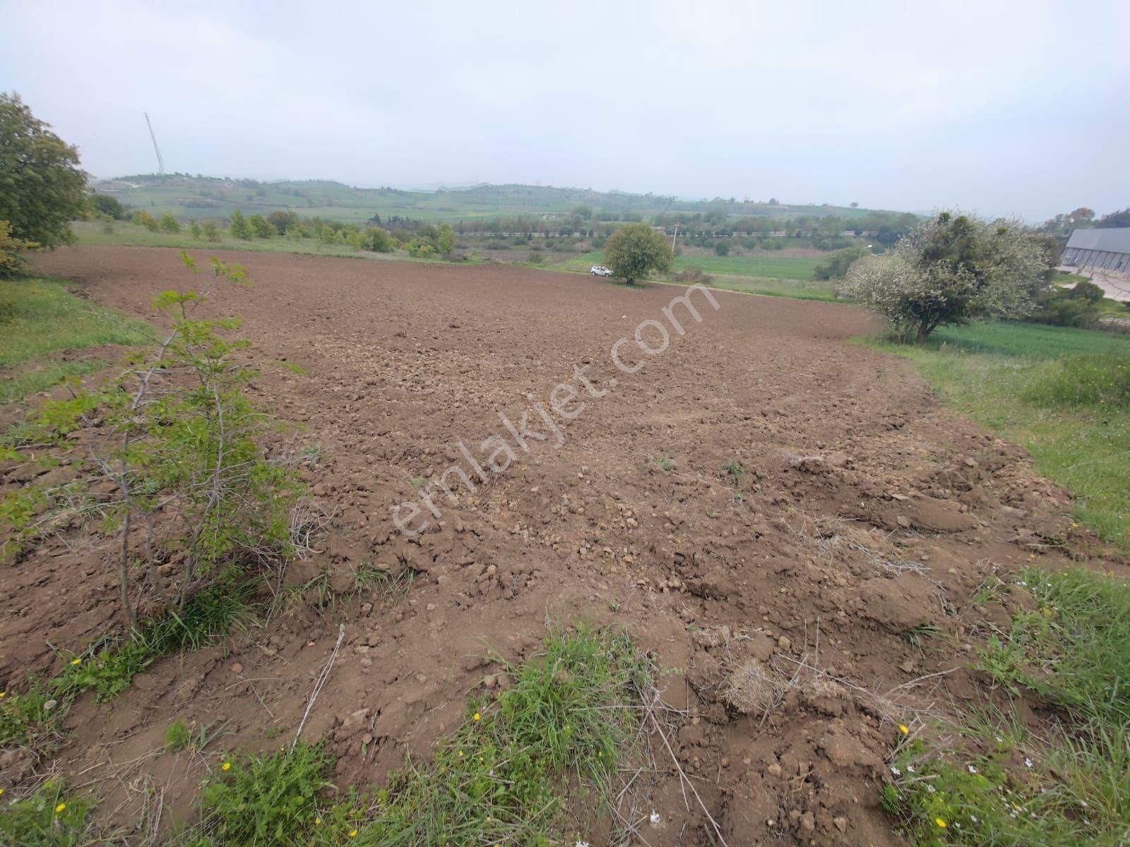 Mir'den Balıkesir Taşköy Mah'de Satılık Tarla - Görsel 29