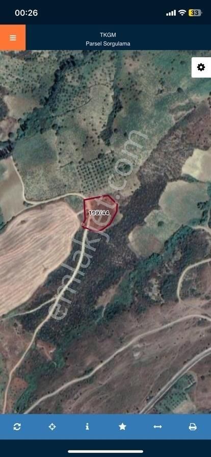 Şarköy-mursallı'da Satılık 3 Dönüm Üzüm Bağı+kirazlık - Görsel 5