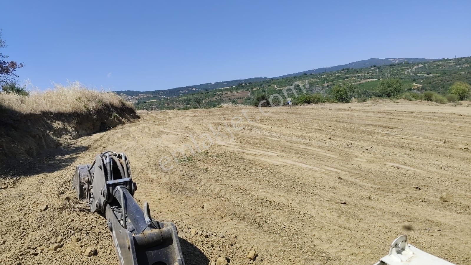 Şarköy-mursallı'da Satılık 3 Dönüm Üzüm Bağı+kirazlık - Görsel 4
