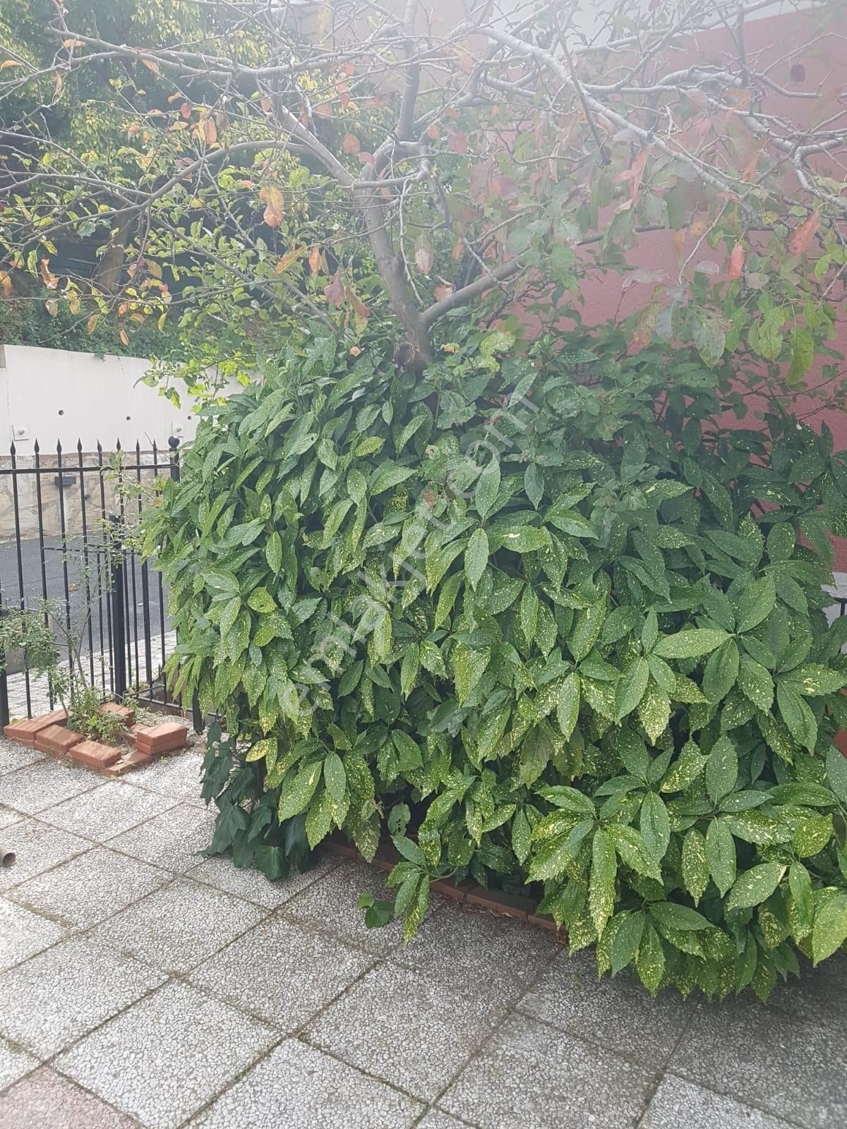 Sarıyer - Tarabya'da Güvenlikli Site İçerisinde Satılık Villa - Görsel 26