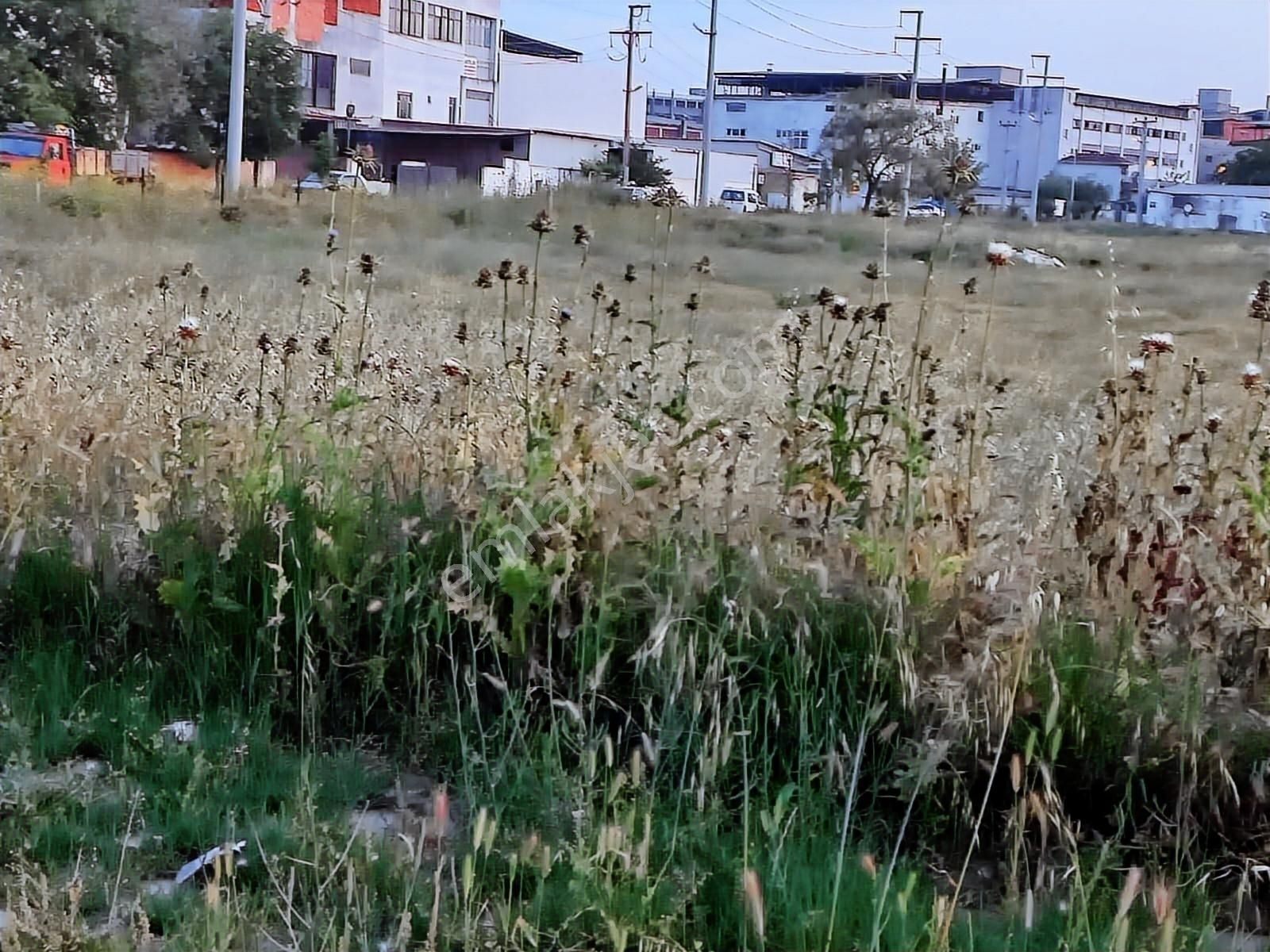 Ergene Karma Organize'de Satılık 5000 M2 Sanayi İmarlı Arsa