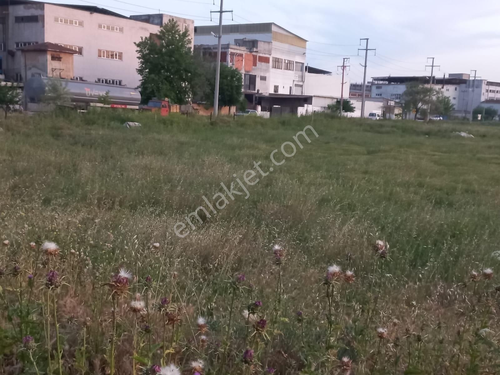 Ergene Karma Organize'de Satılık 5000 M2 Sanayi İmarlı Arsa - Görsel 10