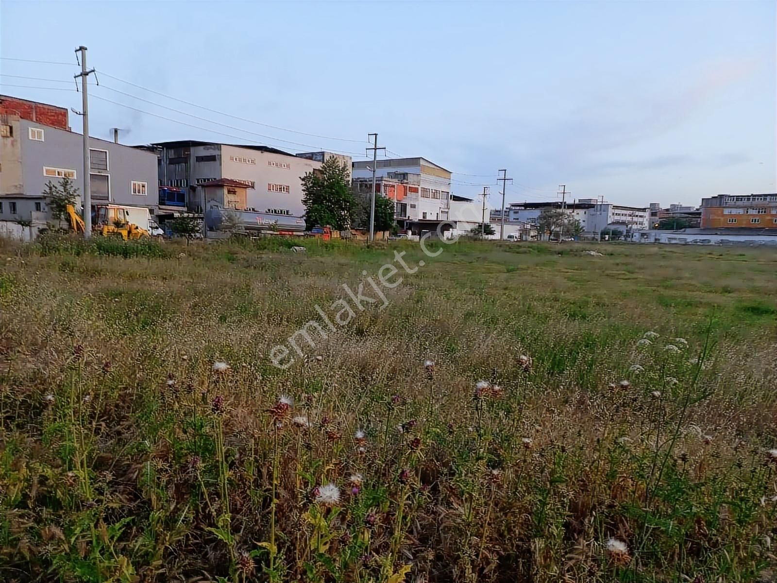 Ergene Karma Organize'de Satılık 5000 M2 Sanayi İmarlı Arsa - Görsel 7