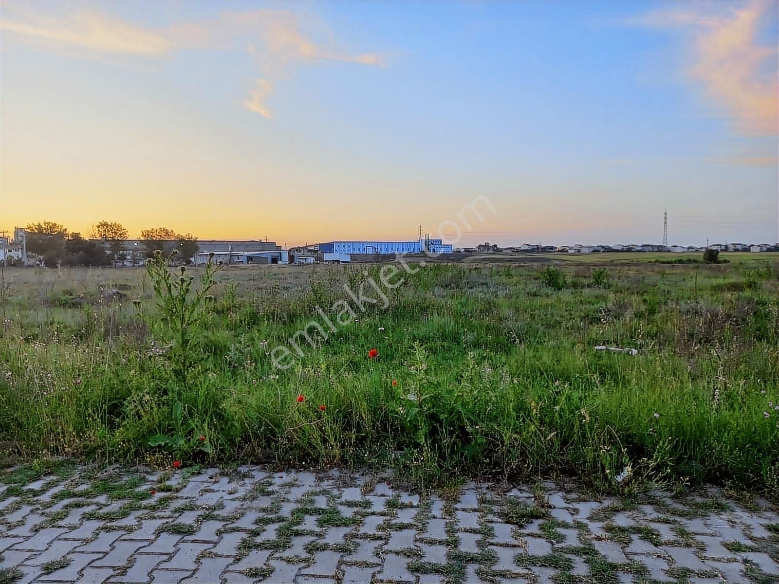 Ergene Karma Organize'de Satılık Sanayi İmarlı 3000 M2 Arsa - Görsel 3