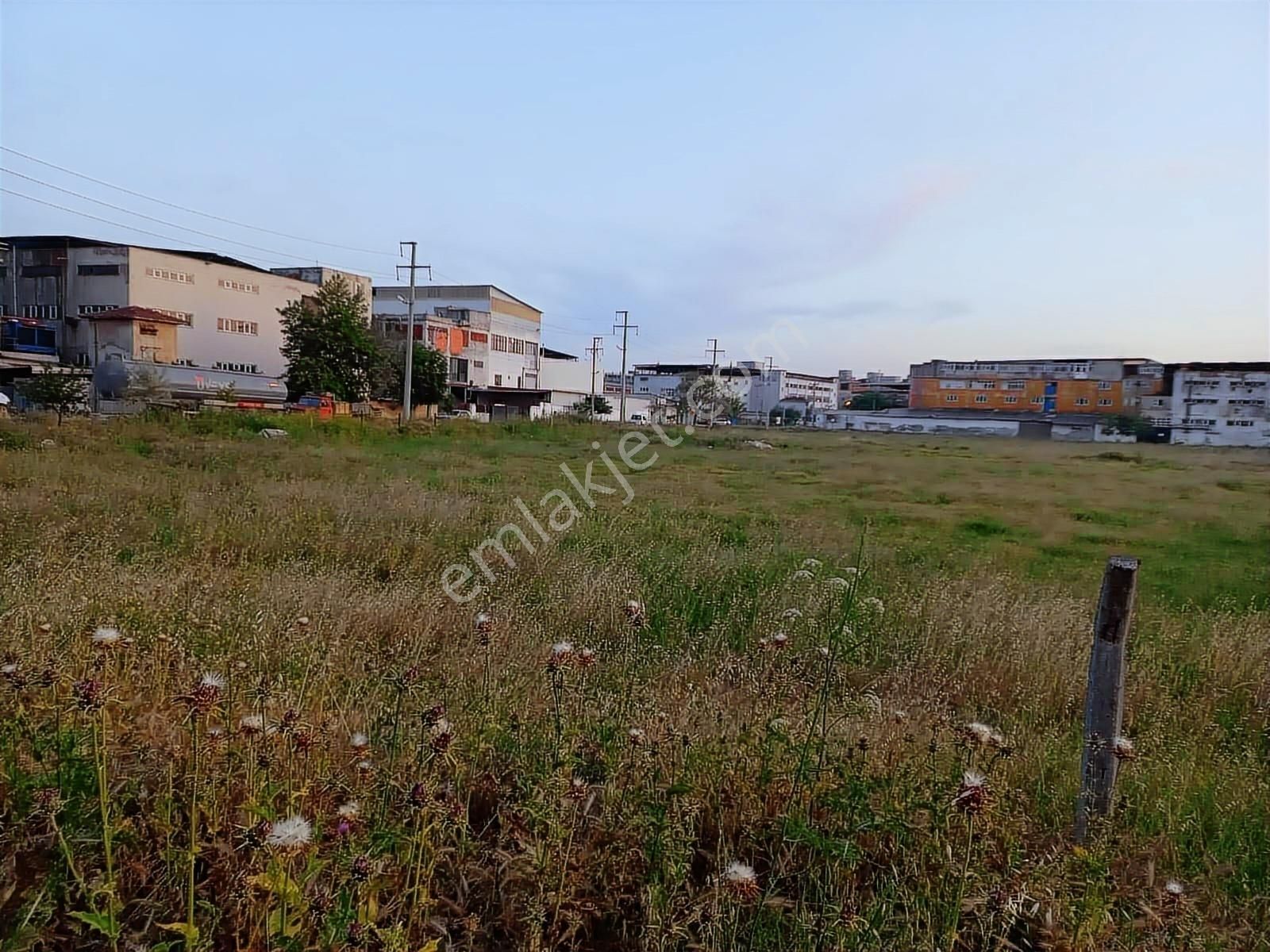 Ergene Karma Organize'de Satılık Sanayi İmarlı 3000 M2 Arsa - Görsel 9