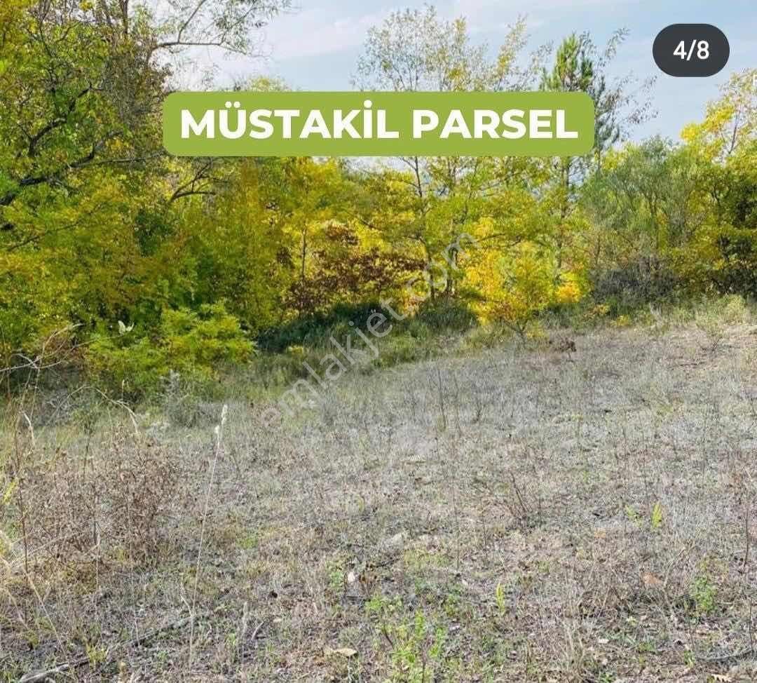 Daımı Taşkın Gayrımenkul'den Yatırımlık Tarla - Görsel 7