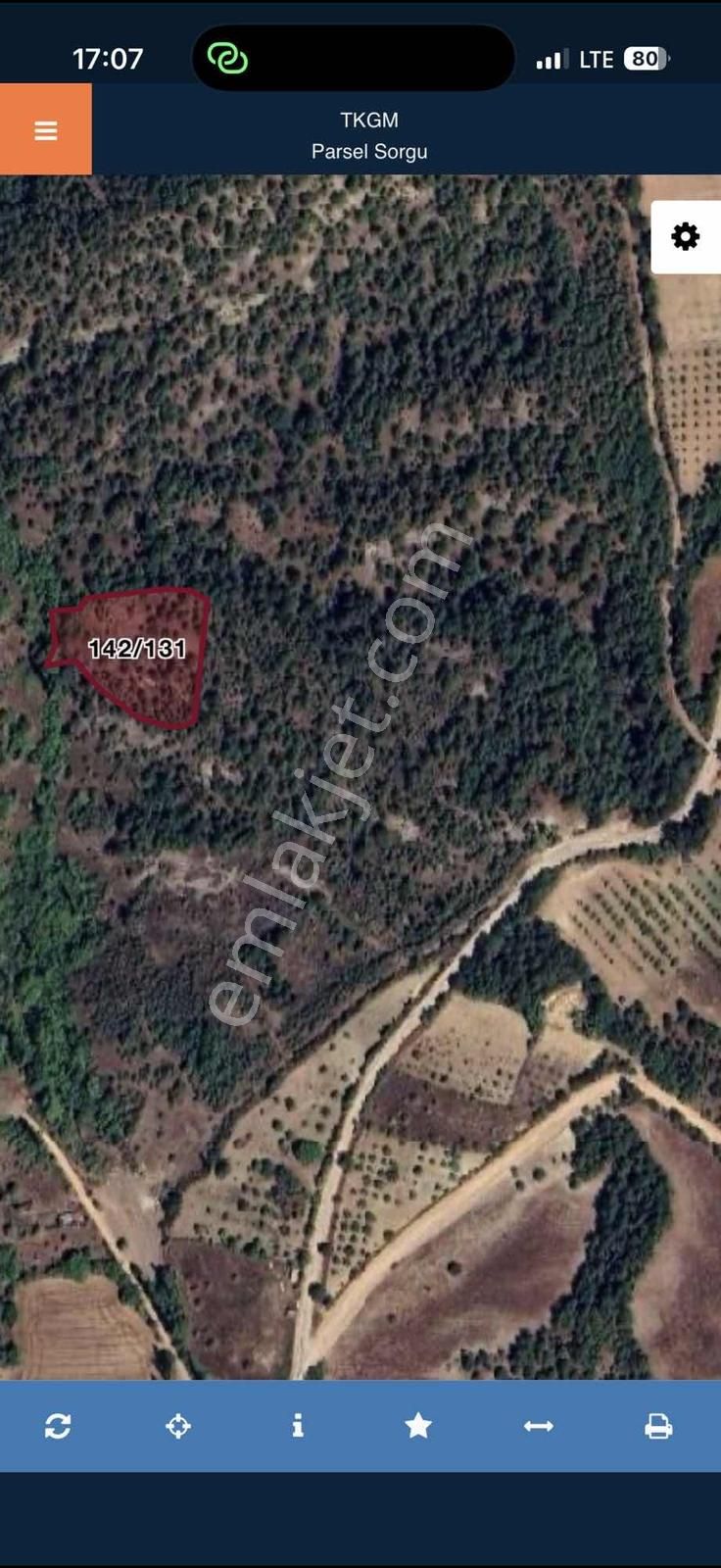 Daımı Taşkın Gayrımenkul'den Yatırımlık Tarla - Görsel 2