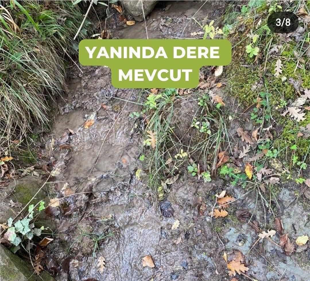 Daımı Taşkın Gayrımenkul'den Yatırımlık Tarla - Görsel 6