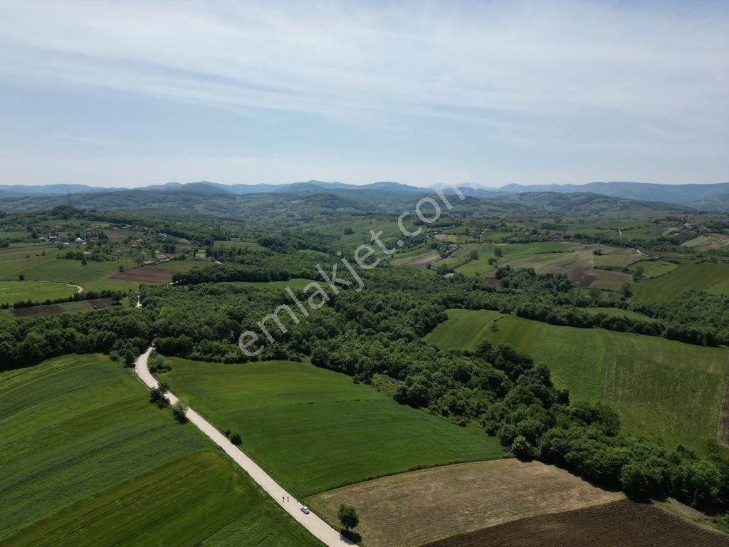 Edis Emlak'tan Satılık Tektapu 57 Dönüm Emsalsiz Tarla - Görsel 21