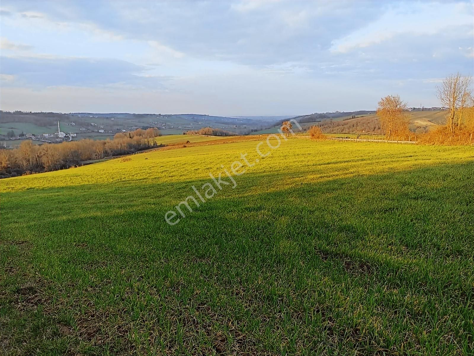 Edis Emlak'tan Satılık Tektapu 57 Dönüm Emsalsiz Tarla - Görsel 16