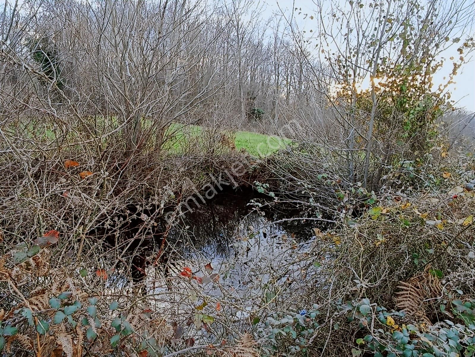 Edis Emlak'tan Satılık Tektapu 57 Dönüm Emsalsiz Tarla - Görsel 14