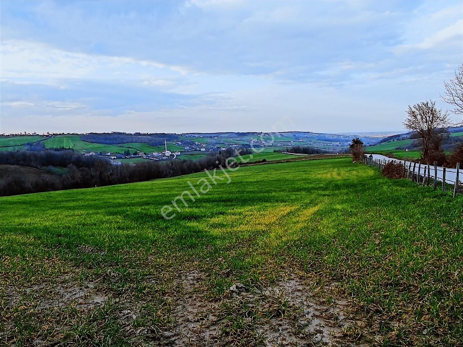 Edis Emlak'tan Satılık Tektapu 57 Dönüm Emsalsiz Tarla - Görsel 10