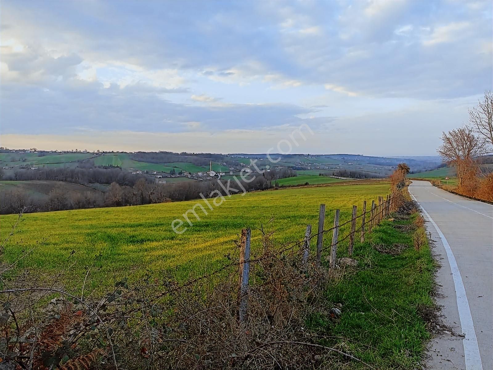 Edis Emlak'tan Satılık Tektapu 57 Dönüm Emsalsiz Tarla - Görsel 11