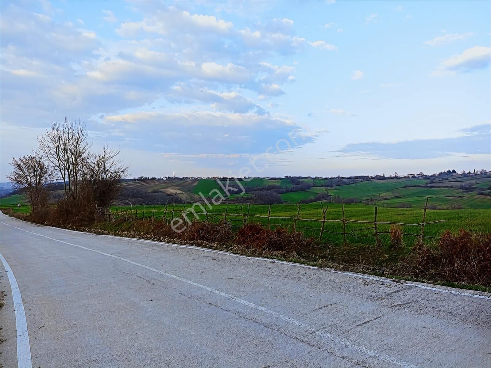 Edis Emlak'tan Satılık Tektapu 57 Dönüm Emsalsiz Tarla - Görsel 2