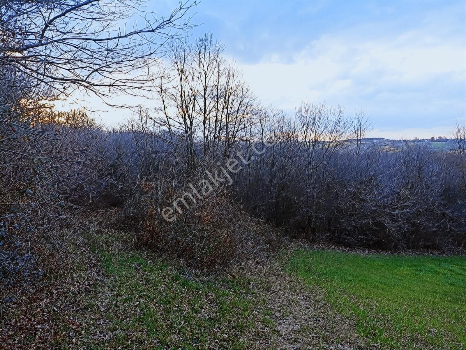 Edis Emlak'tan Satılık Tektapu 57 Dönüm Emsalsiz Tarla - Görsel 20
