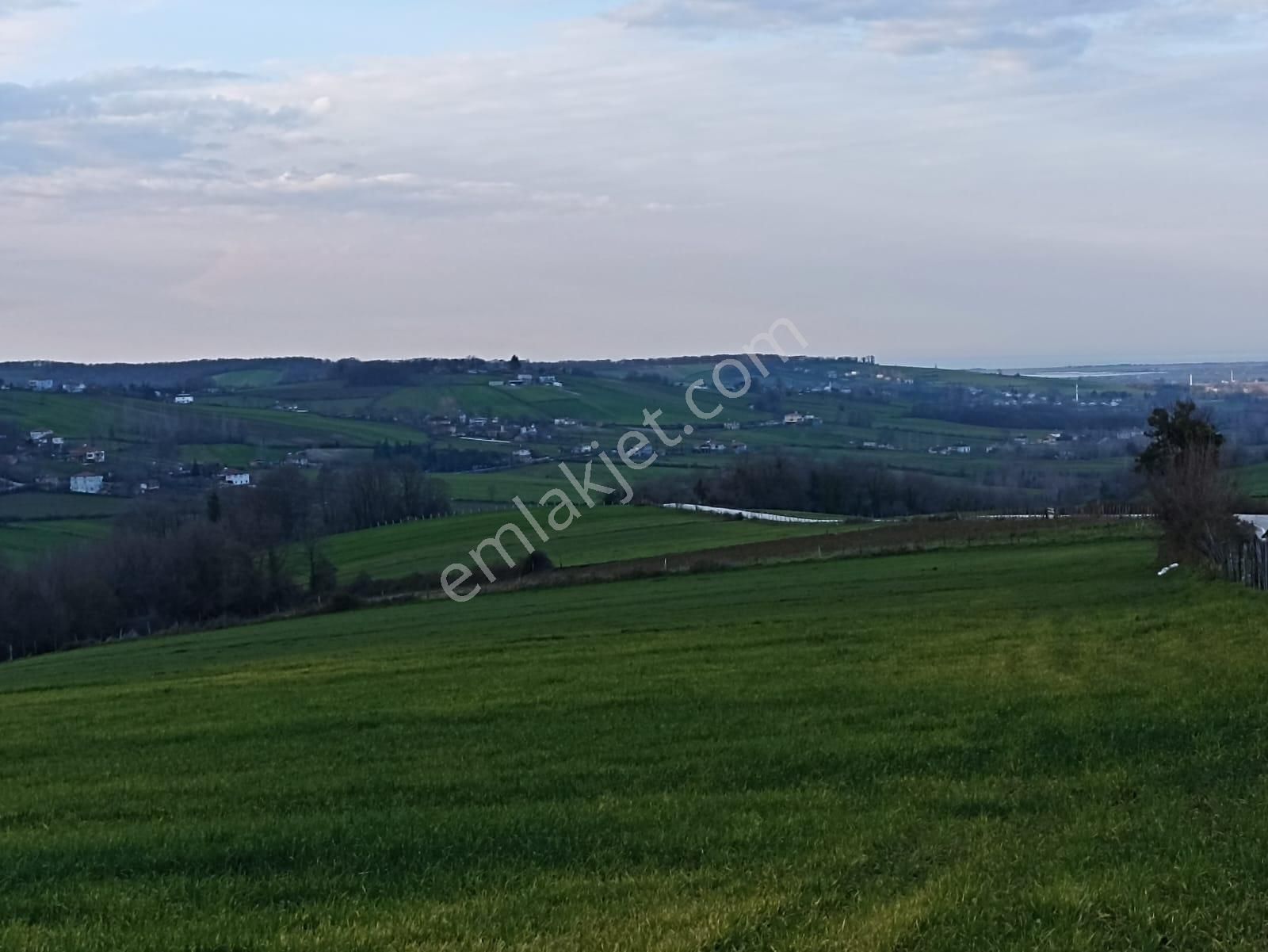 Edis Emlak'tan Satılık Tektapu 57 Dönüm Emsalsiz Tarla - Görsel 25