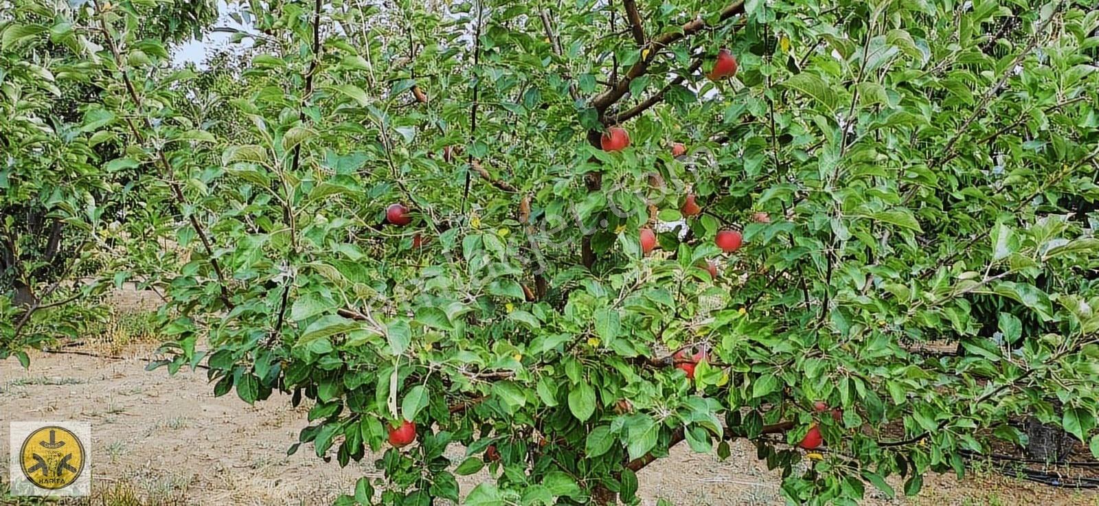 Kılan Yaylasında Trıpleks Villa - Görsel 8