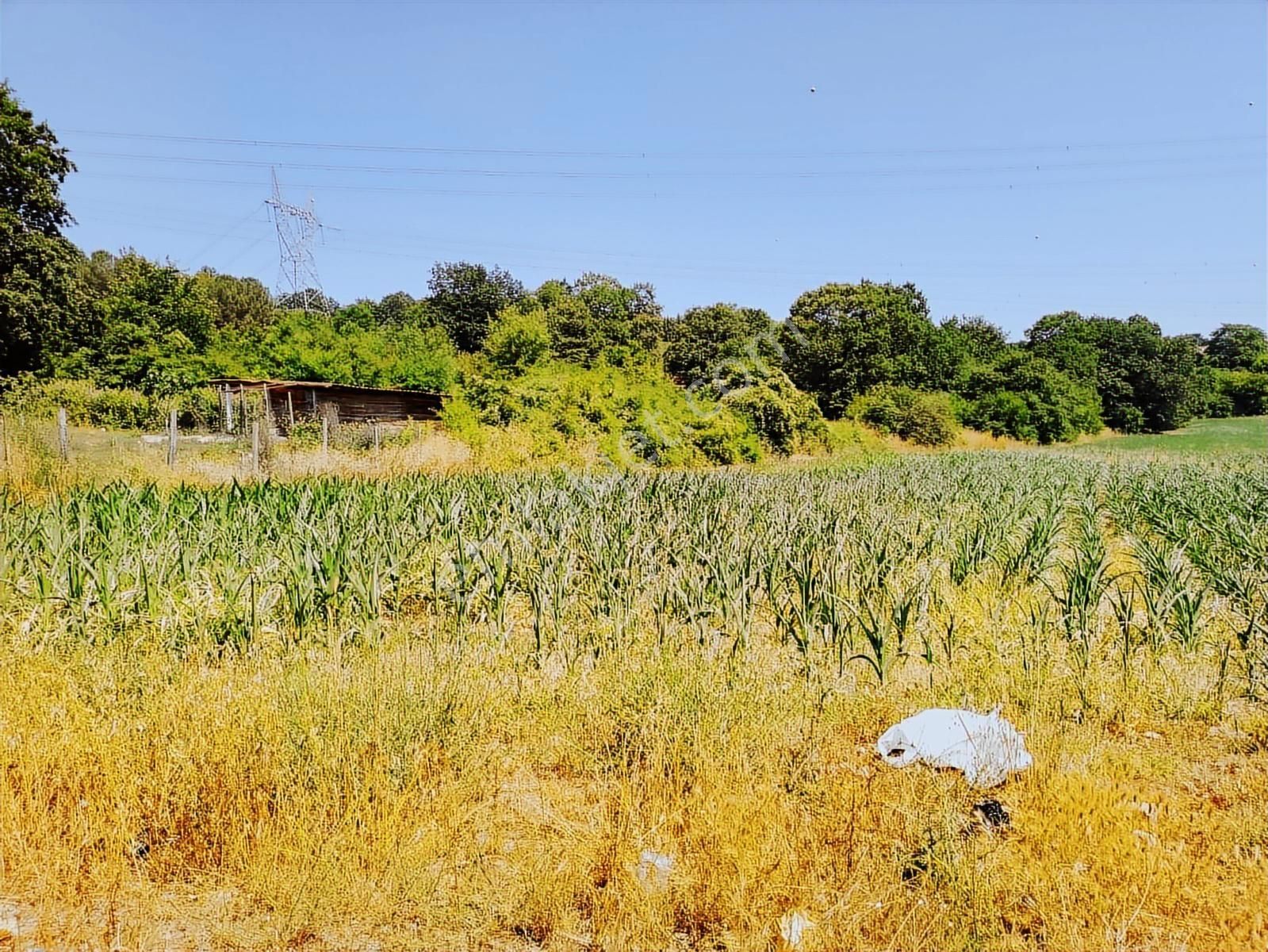 Karamanda 4 Kat Konut İmarlı Asfalt Cepeli Satılık Arsa - Görsel 16