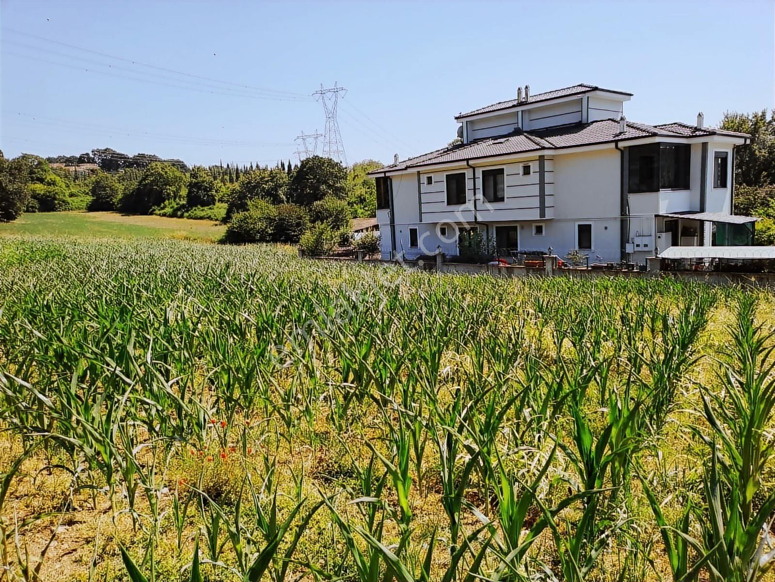 Karamanda 4 Kat Konut İmarlı Asfalt Cepeli Satılık Arsa - Görsel 9