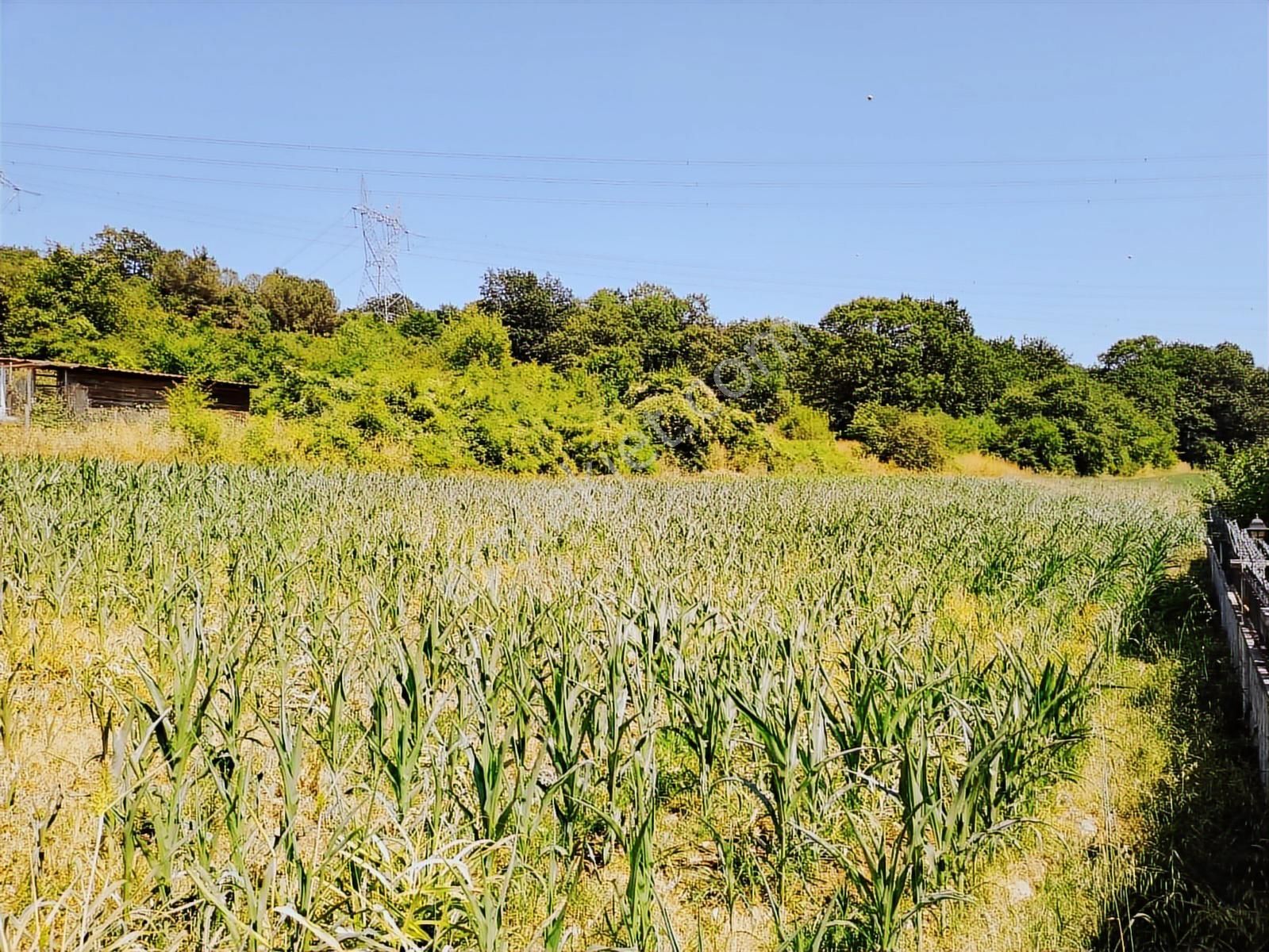 Karamanda 4 Kat Konut İmarlı Asfalt Cepeli Satılık Arsa - Görsel 7