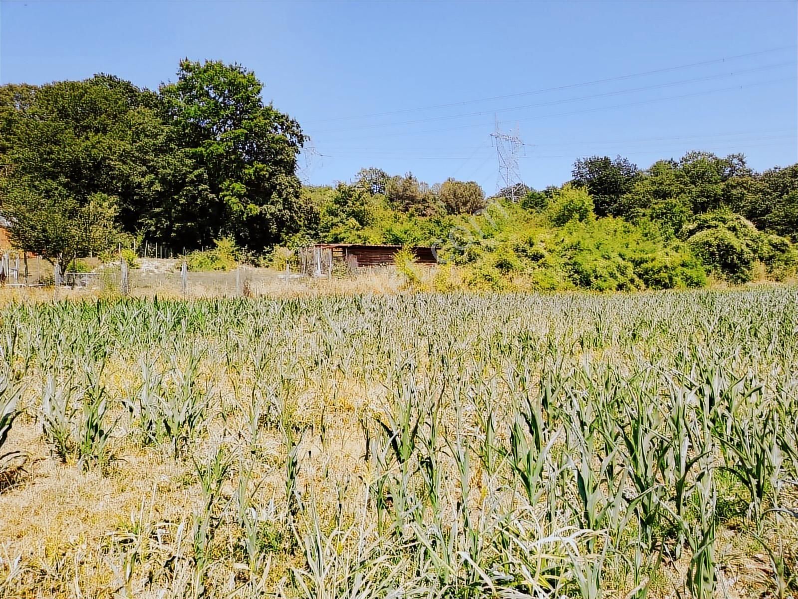 Karamanda 4 Kat Konut İmarlı Asfalt Cepeli Satılık Arsa - Görsel 5