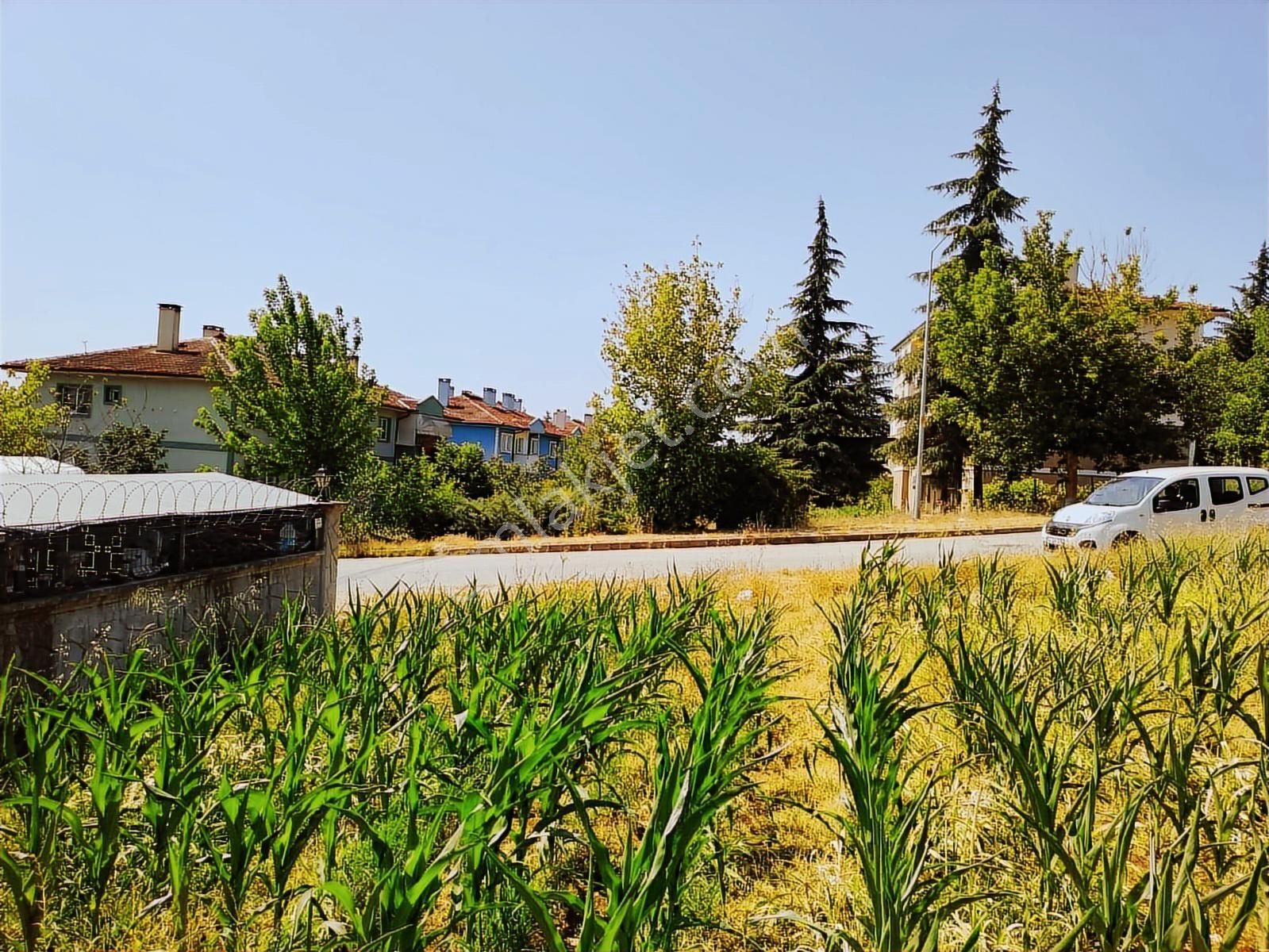 Karamanda 4 Kat Konut İmarlı Asfalt Cepeli Satılık Arsa - Görsel 17