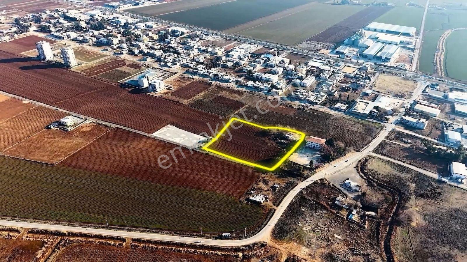 Cb'dan Ulubağda Yatırımlık Fırsat Tarla