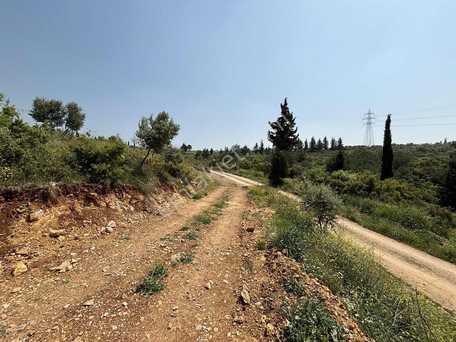 Ayrancılar'da Satılık 2200 M2 Tek Tapu Tarla Araç Takaslı - Görsel 4