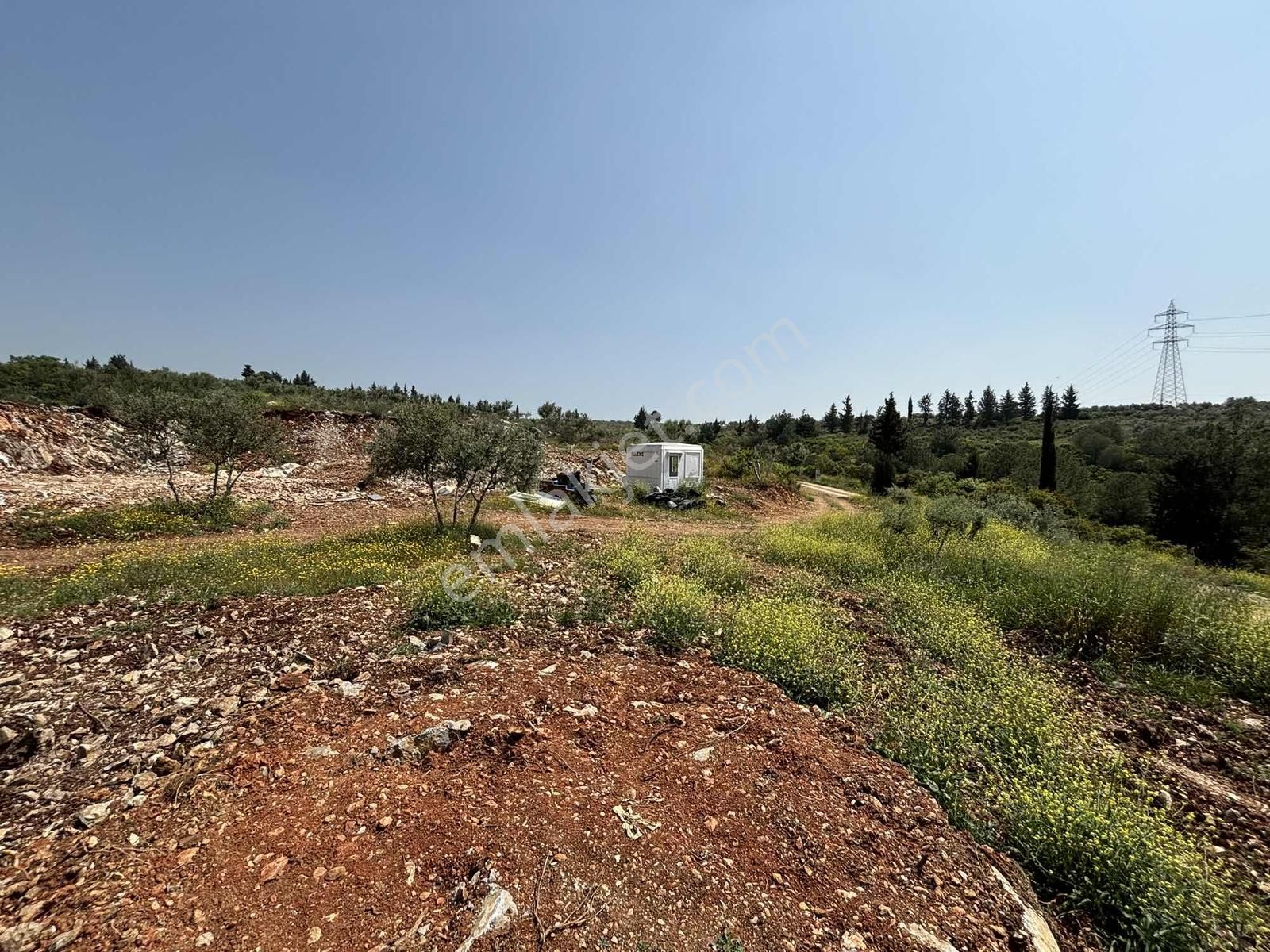 Ayrancılar'da Satılık 2200 M2 Tek Tapu Tarla Araç Takaslı