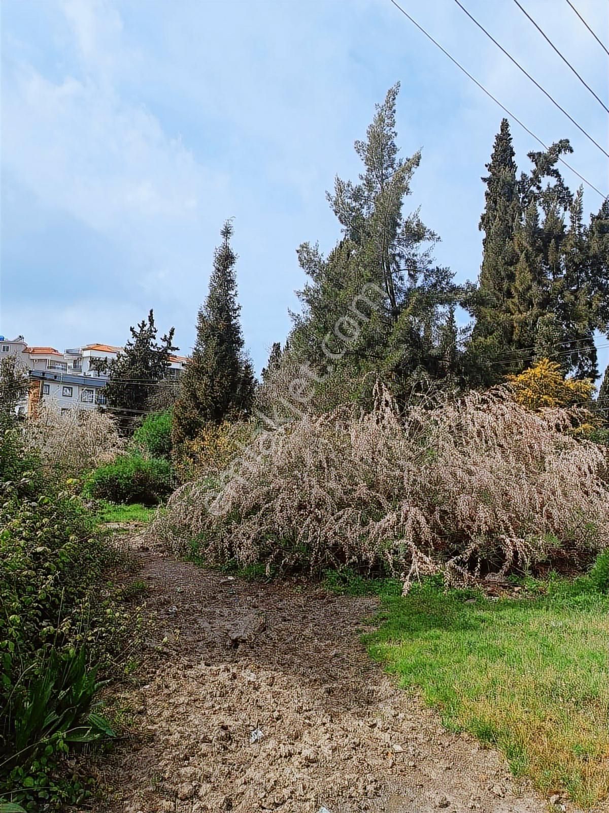 Güllük'te Villa İmarlı Arsa - Görsel 3