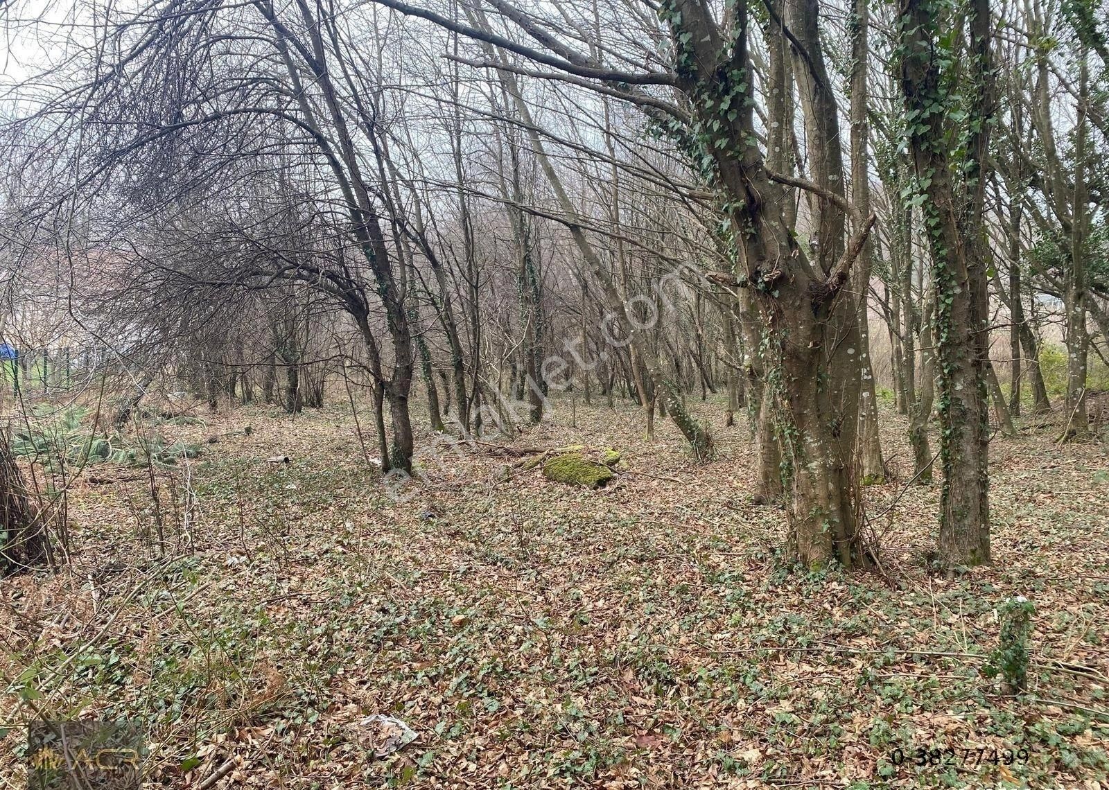 Acr Gyd'den Kabakoz Mah. Cadde Üzerinde 305m2 Arsa - Görsel 4