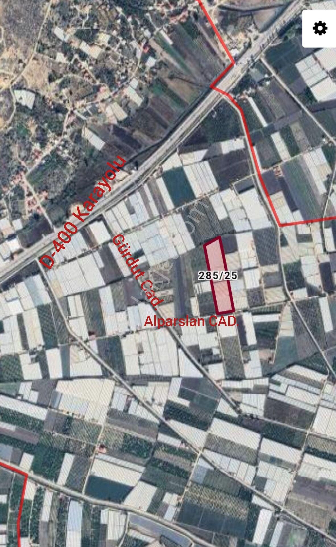 Sahibinden Satılık Muz Serası