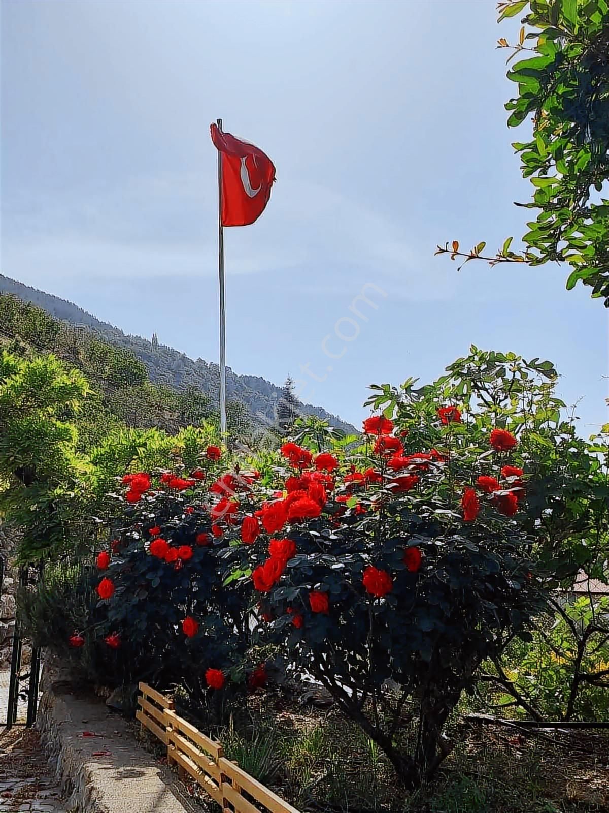 Doğanca Mahallesinde Muhteşem Manzaralı 38 Dönüm Arsa Ve Villa - Görsel 5