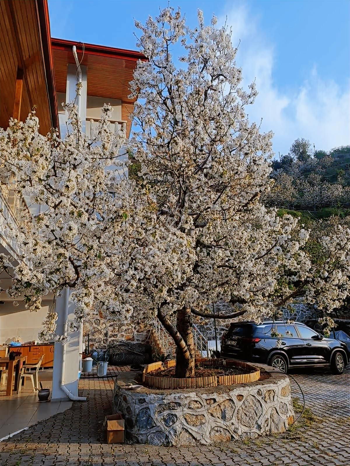 Doğanca Mahallesinde Muhteşem Manzaralı 38 Dönüm Arsa Ve Villa - Görsel 8