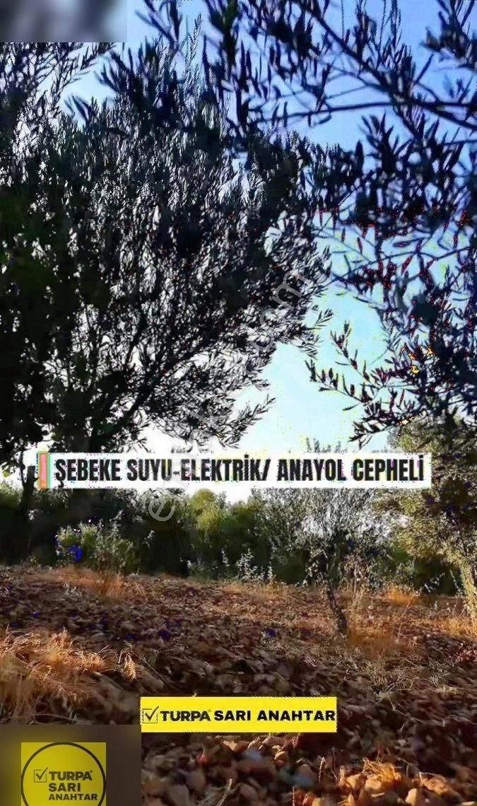 Manisa Sancaklı Bozköy'de Asfalt Yol Cep. Satılık Tek Tapu Arazi - Görsel 18