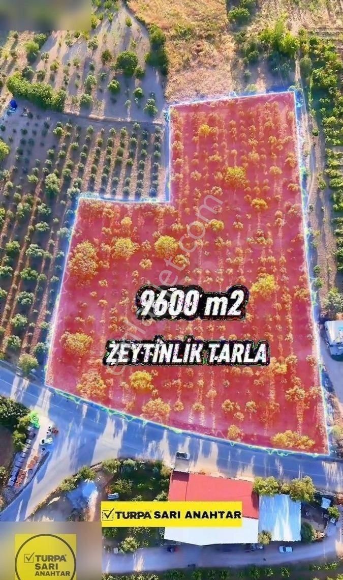 Manisa Sancaklı Bozköy'de Asfalt Yol Cep. Satılık Tek Tapu Arazi - Görsel 8