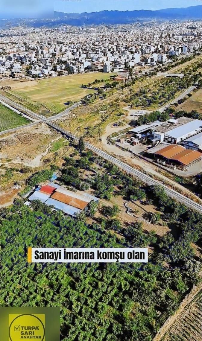 Turpa'dan Sanayi İmarına Sınır 6 Dönüm Çiftlik Ve Arazi - Görsel 6