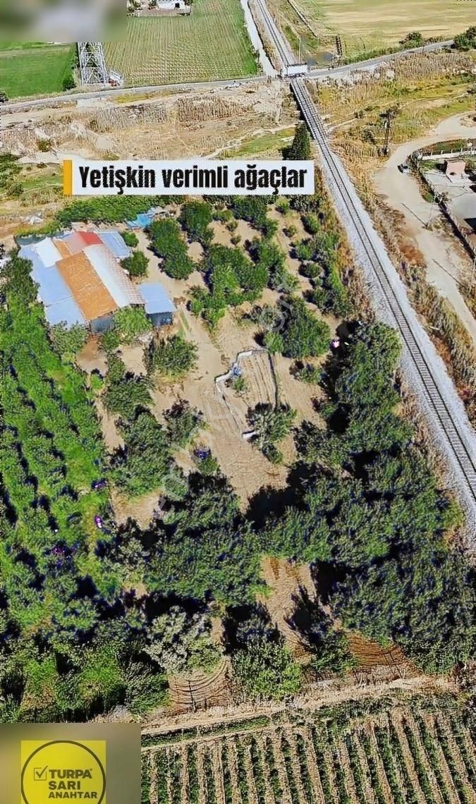 Turpa'dan Sanayi İmarına Sınır 6 Dönüm Çiftlik Ve Arazi - Görsel 24