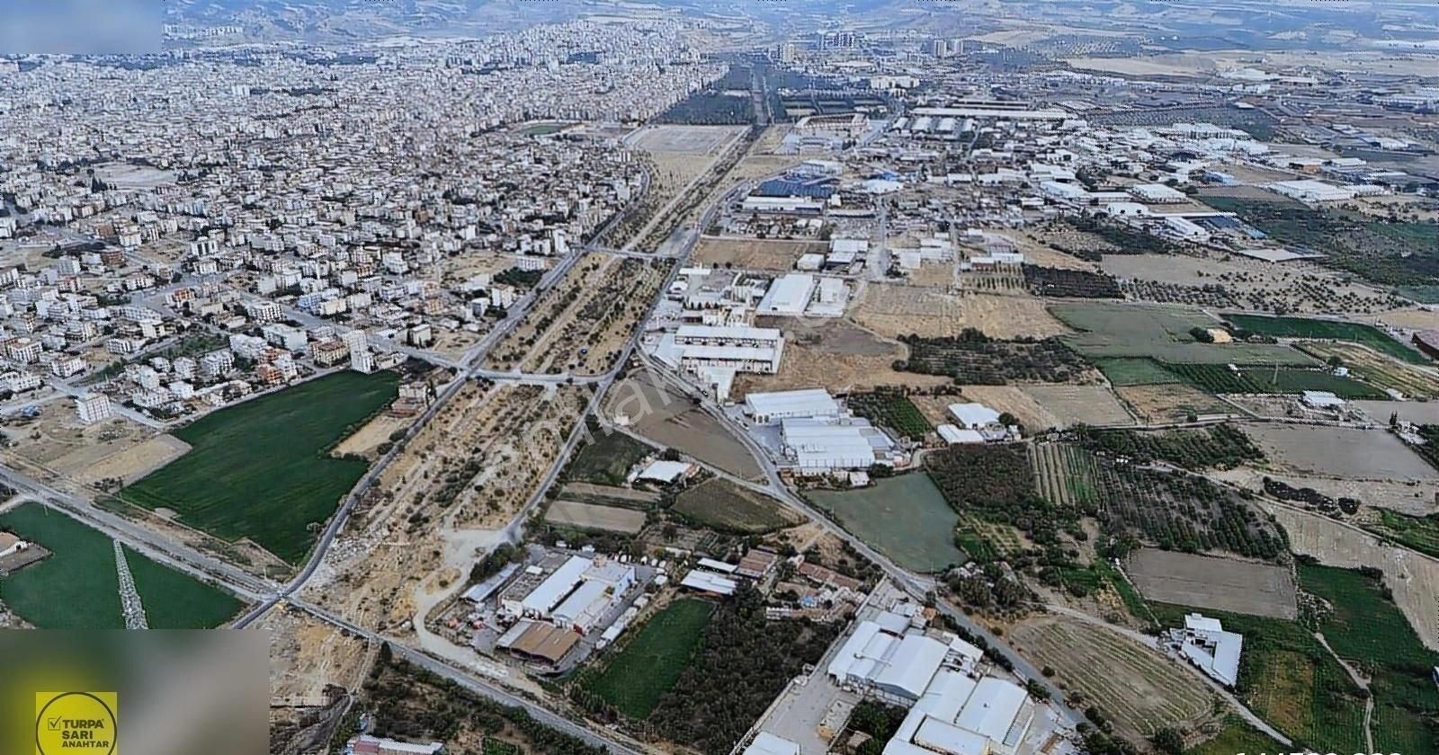 Turpa'dan Sanayi İmarına Sınır 6 Dönüm Çiftlik Ve Arazi - Görsel 16