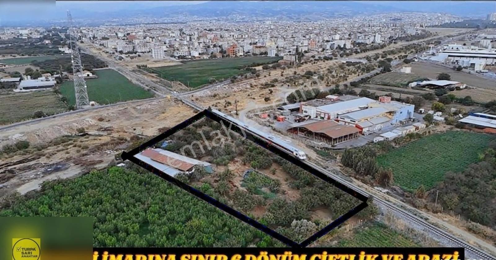 Turpa'dan Sanayi İmarına Sınır 6 Dönüm Çiftlik Ve Arazi - Görsel 2