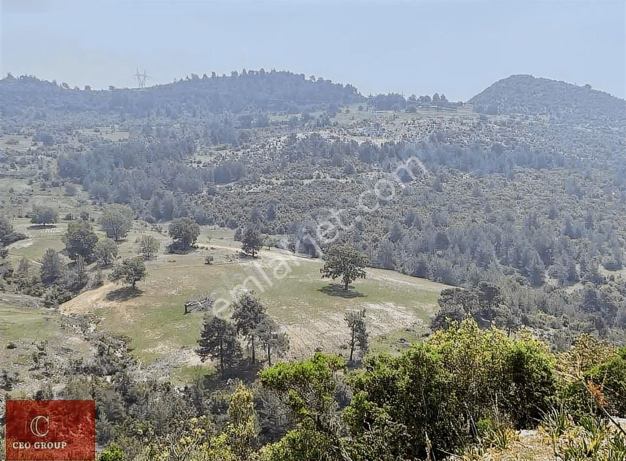 Ceo Group'tan Deigrmencayda 35500 Metre Firsat Tarla