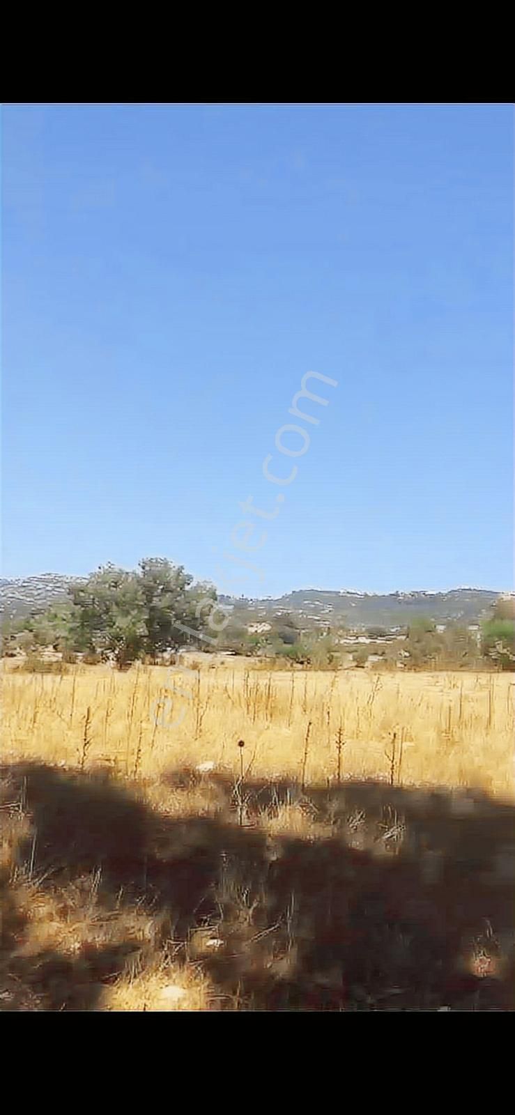 Ceo Group'tan Deigrmencayda 35500 Metre Firsat Tarla - Görsel 7