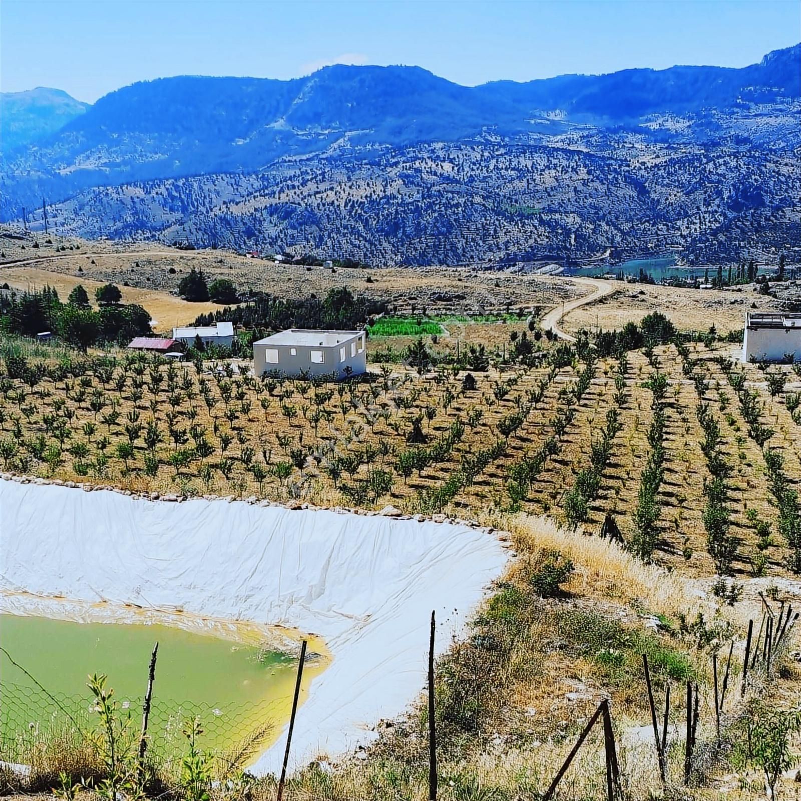 Ceo Group Konut Ve Turizm Projelerine Uygun 9829m² Bahçe Ve 2 Ev - Görsel 11