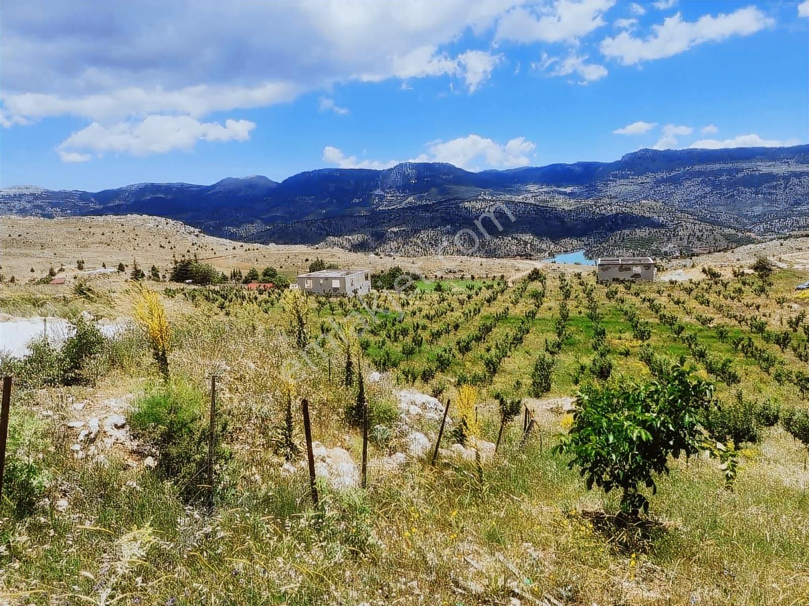 Ceo Group Konut Ve Turizm Projelerine Uygun 9829m² Bahçe Ve 2 Ev - Görsel 17