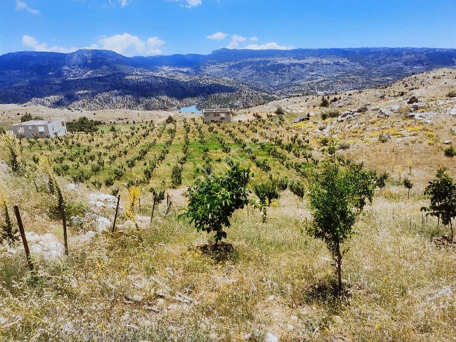 Ceo Group Konut Ve Turizm Projelerine Uygun 9829m² Bahçe Ve 2 Ev - Görsel 4